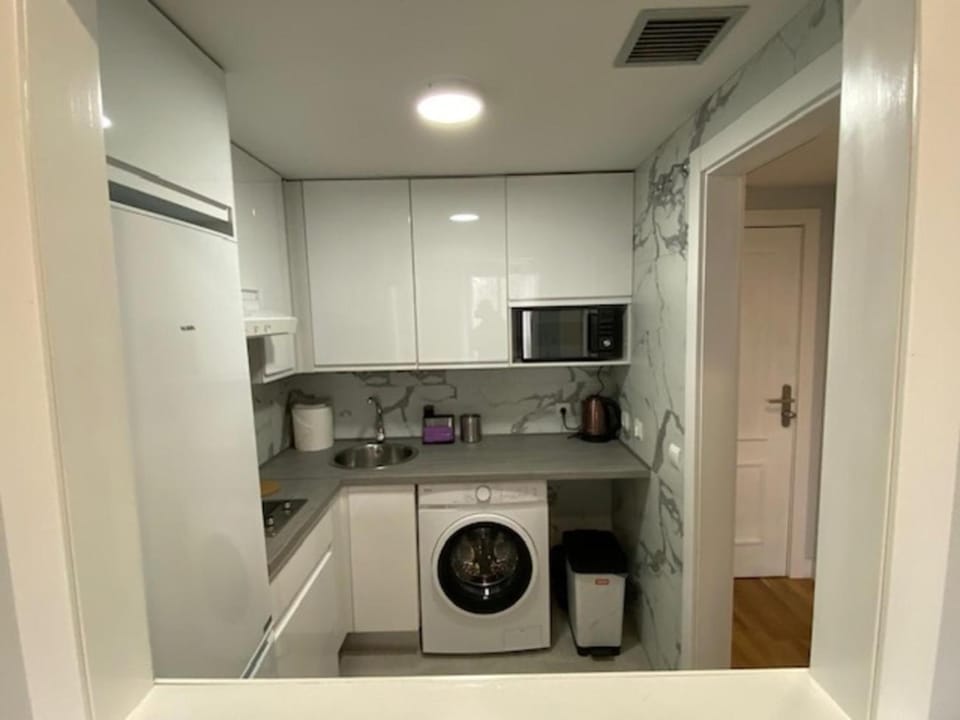 Kitchen or kitchenette, stove, washing machine