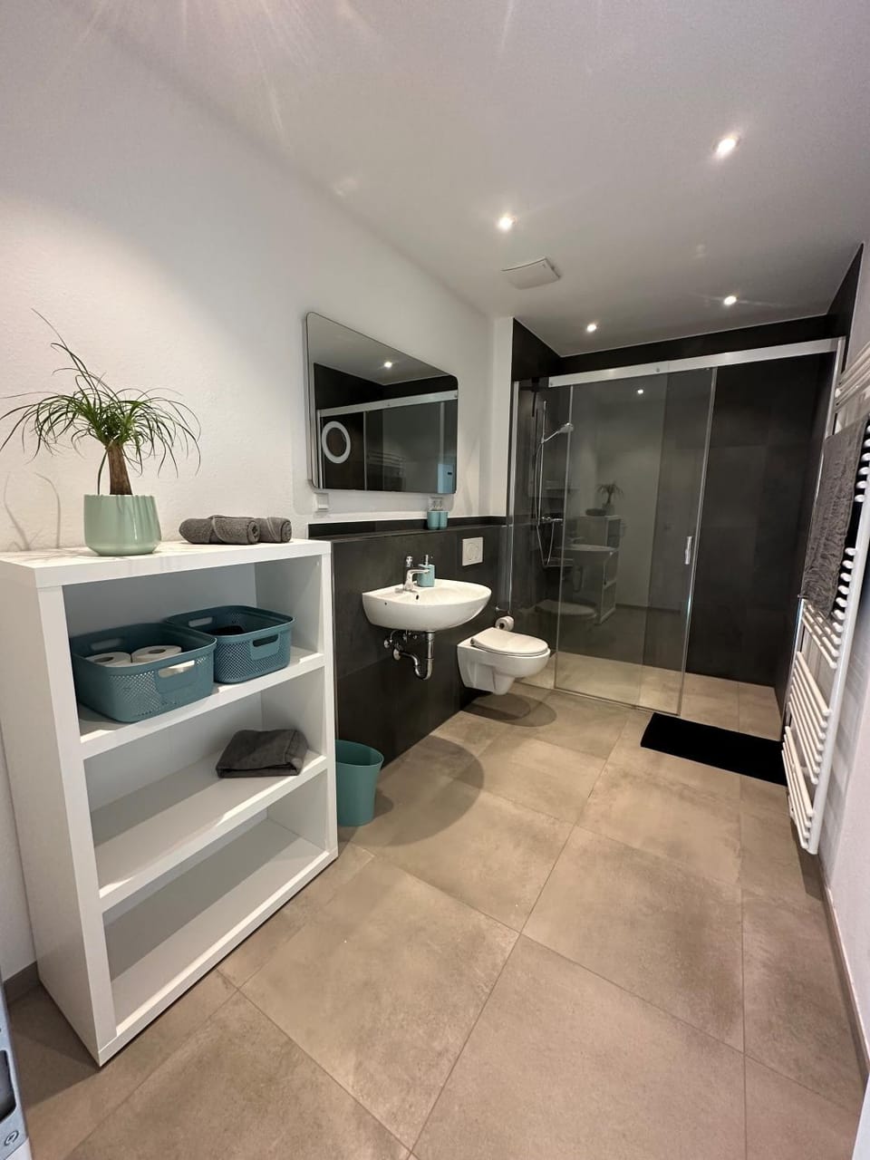 Shower, Toilet, Bathroom, towels