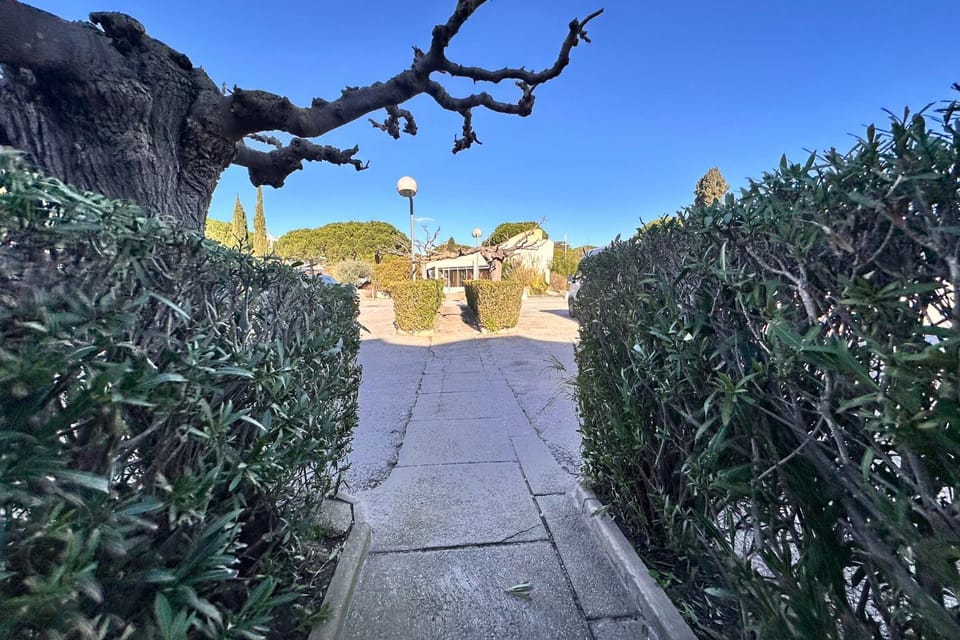 Natural landscape, Garden