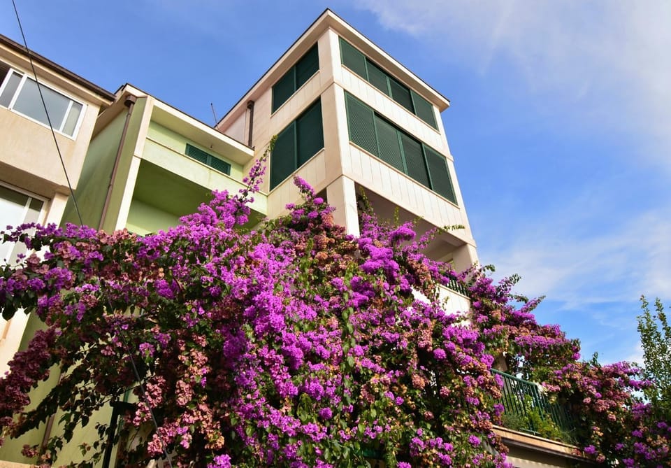 Property building, Spring