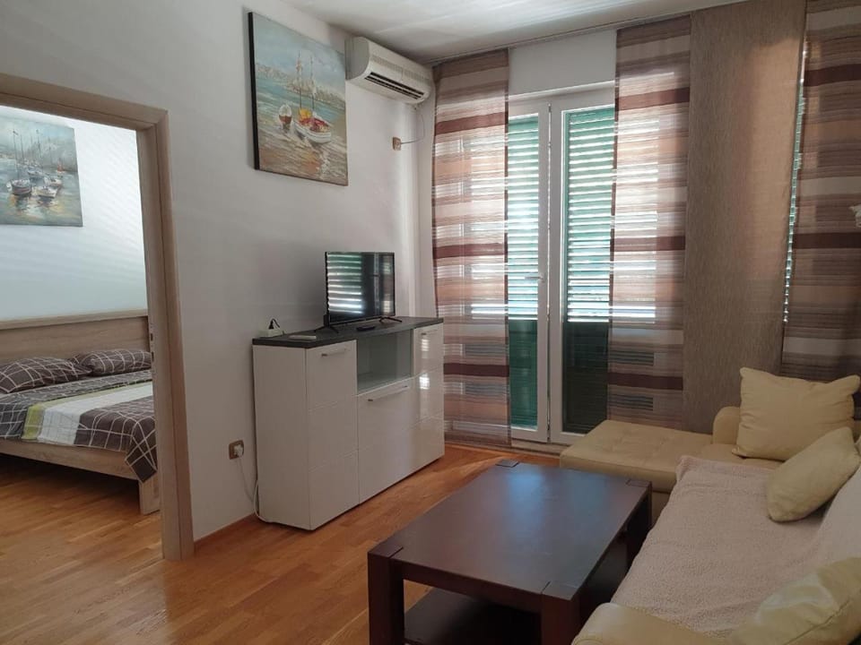 Victor Apartments Apartment in Budva Municipality