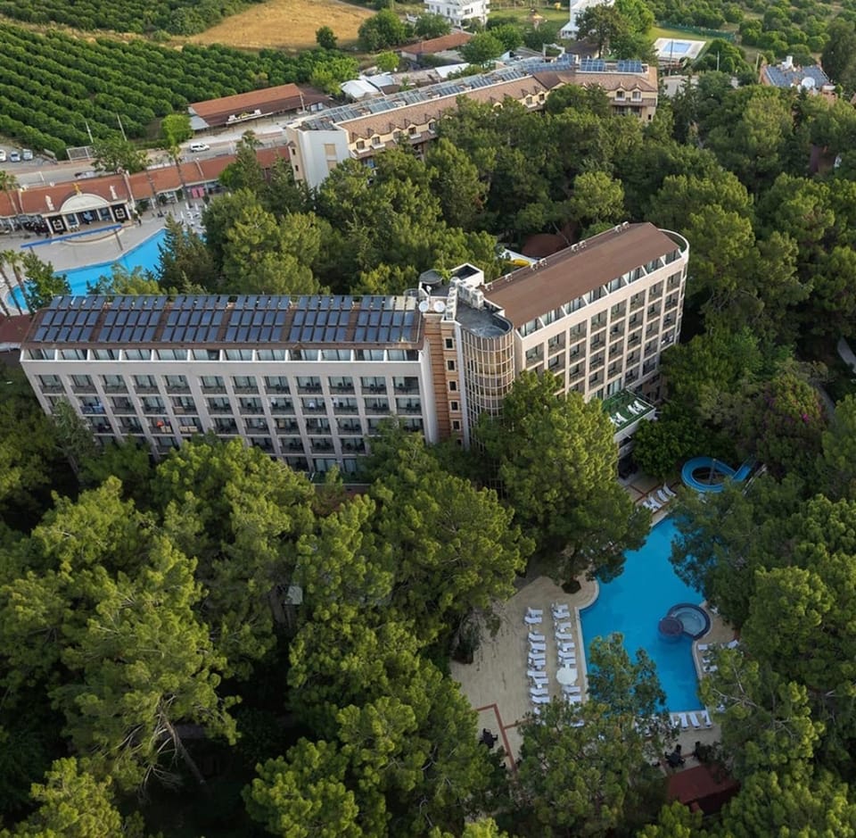Natural landscape, Bird's eye view, Garden view, Pool view