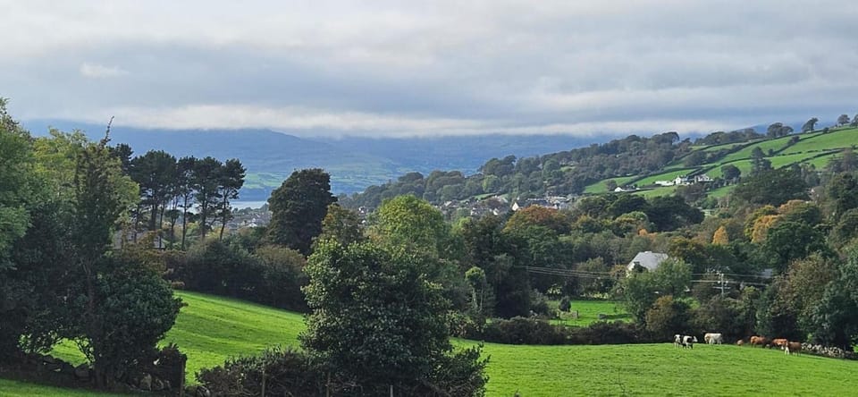 Rostrevor Valley 5-Br Sleeps 10 w Hot Tub & View House in Northern Ireland