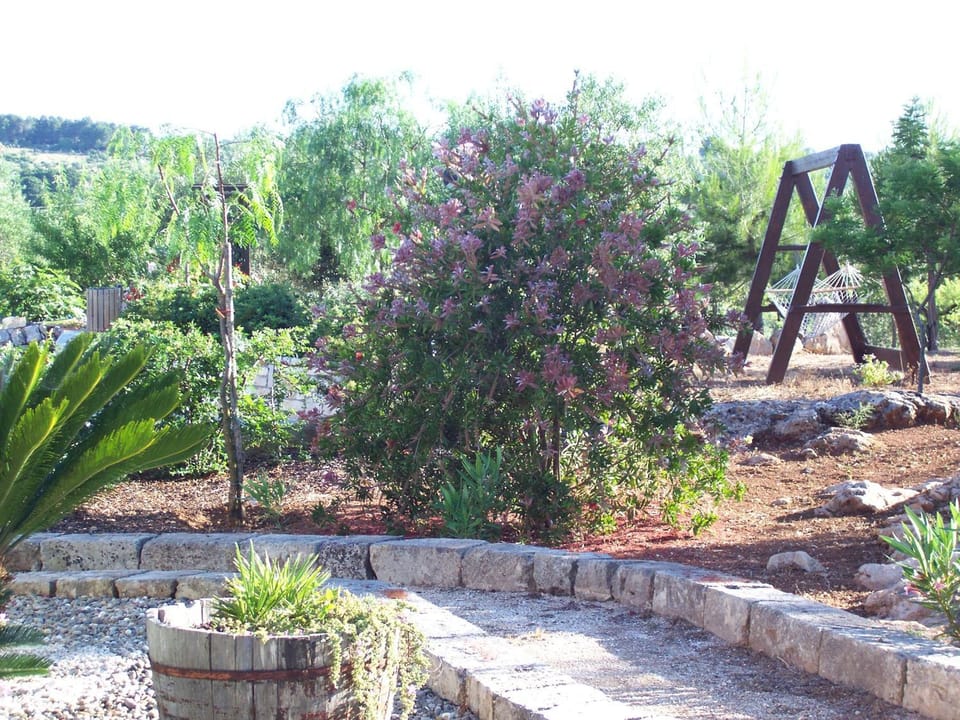 Garden, Garden view