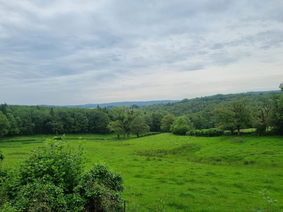 View (from property/room)