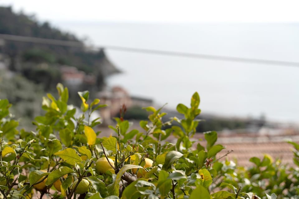 Profumo di Salsedine Apartment in Bonassola