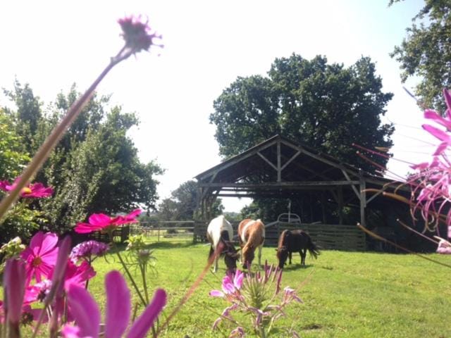 Dpt44 Gite à la ferme accueil PMR House in Pays de la Loire