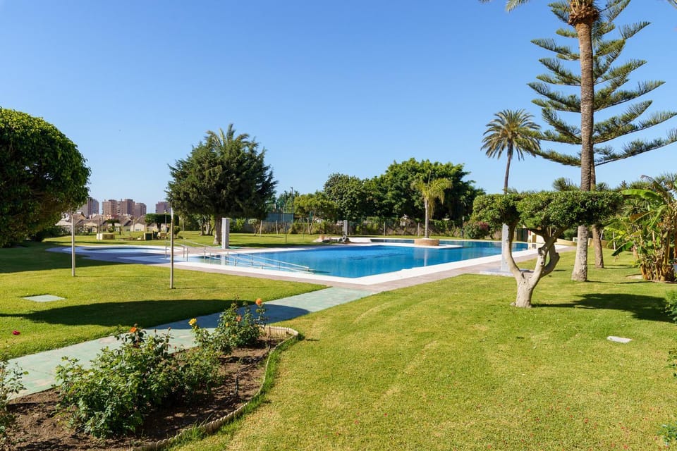 Spring, Day, Garden, Garden, Swimming pool, Swimming pool