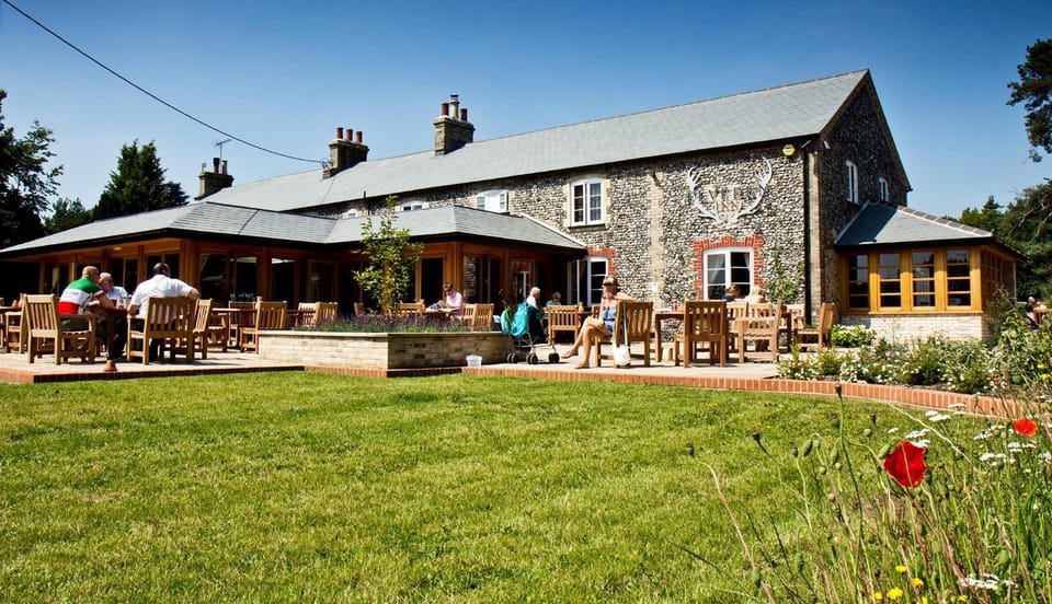 Property building, Patio, Day, People, Garden, Garden view