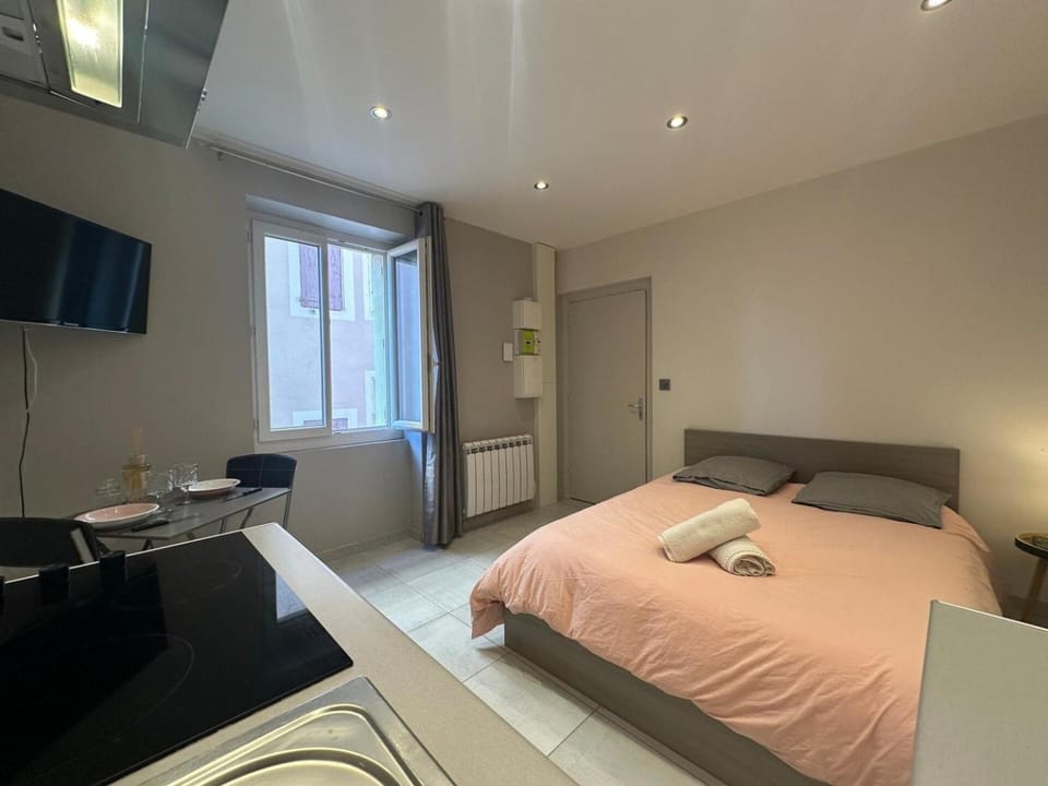 Studio tout équipé - Travail & détente au Puy Apartment in Auvergne-Rhône-Alpes
