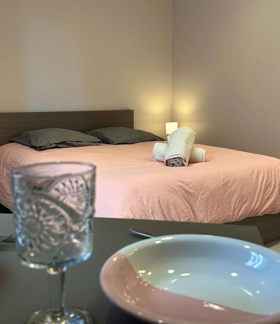 Studio tout équipé - Travail & détente au Puy Apartment in Auvergne-Rhône-Alpes