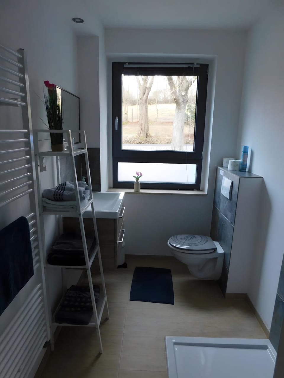 Bathroom, Living room