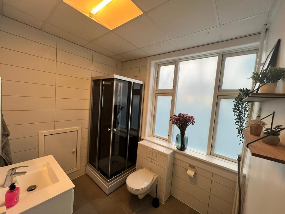 Shower, Toilet, Bathroom, towels