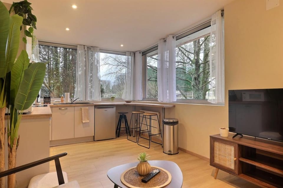 Appartement 1 chambre, rez de chaussée avec garage Apartment in Montbéliard