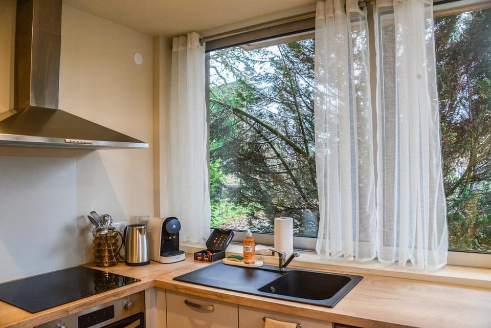 Appartement 1 chambre, rez de chaussée avec garage Apartment in Montbéliard