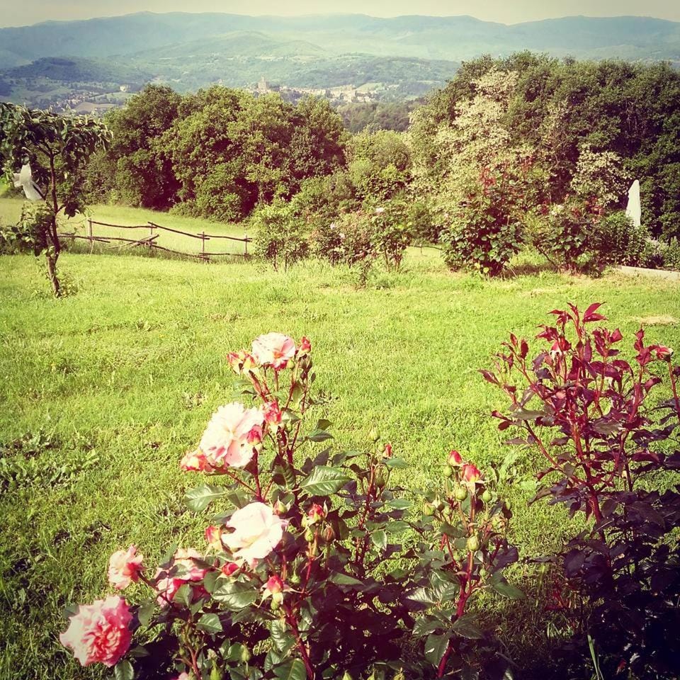 La Collina Tuscan stone cottage House in Emilia-Romagna