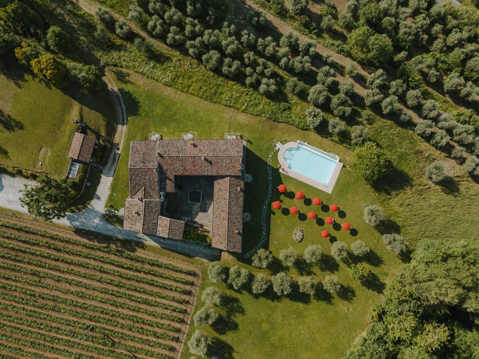 Natural landscape, Bird's eye view, Garden view, Pool view