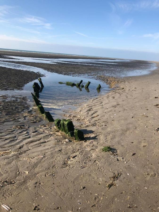 Algues 2 Apartment in Quend