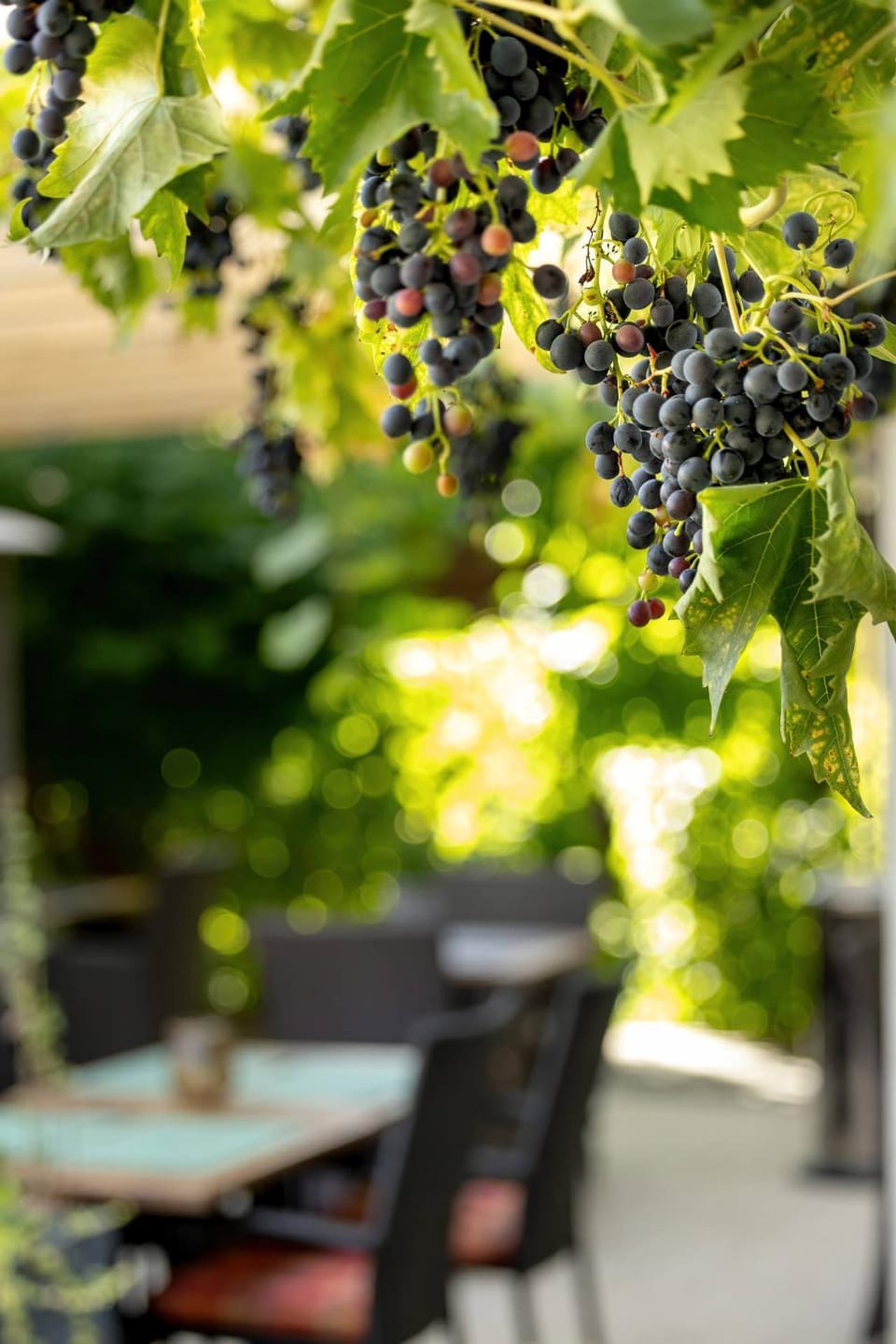 Narcyz Vacation rental in West Pomeranian Voivodeship, Poland