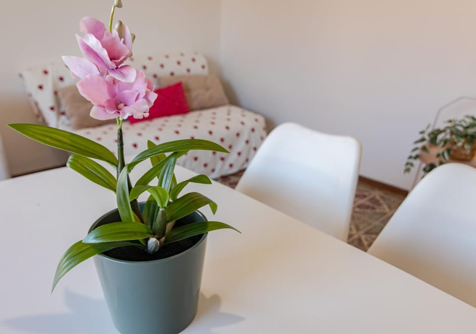 Living room, Decorative detail