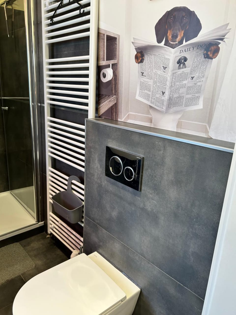 Toilet, Bathroom