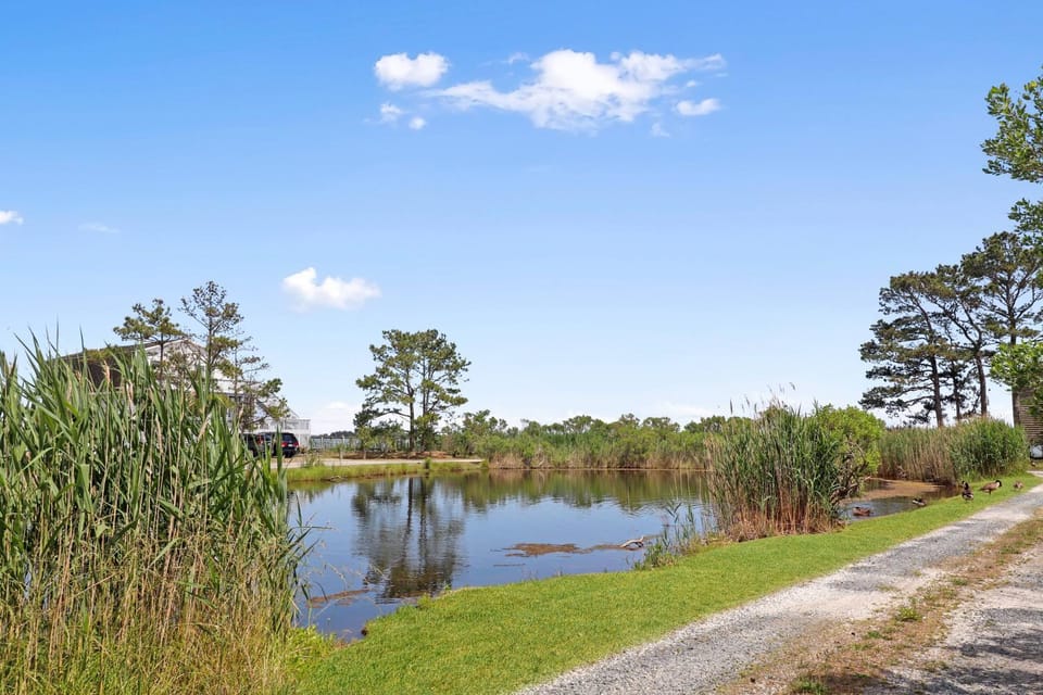 Shady Grove - Water views, Fireplace! House in Chincoteague Island