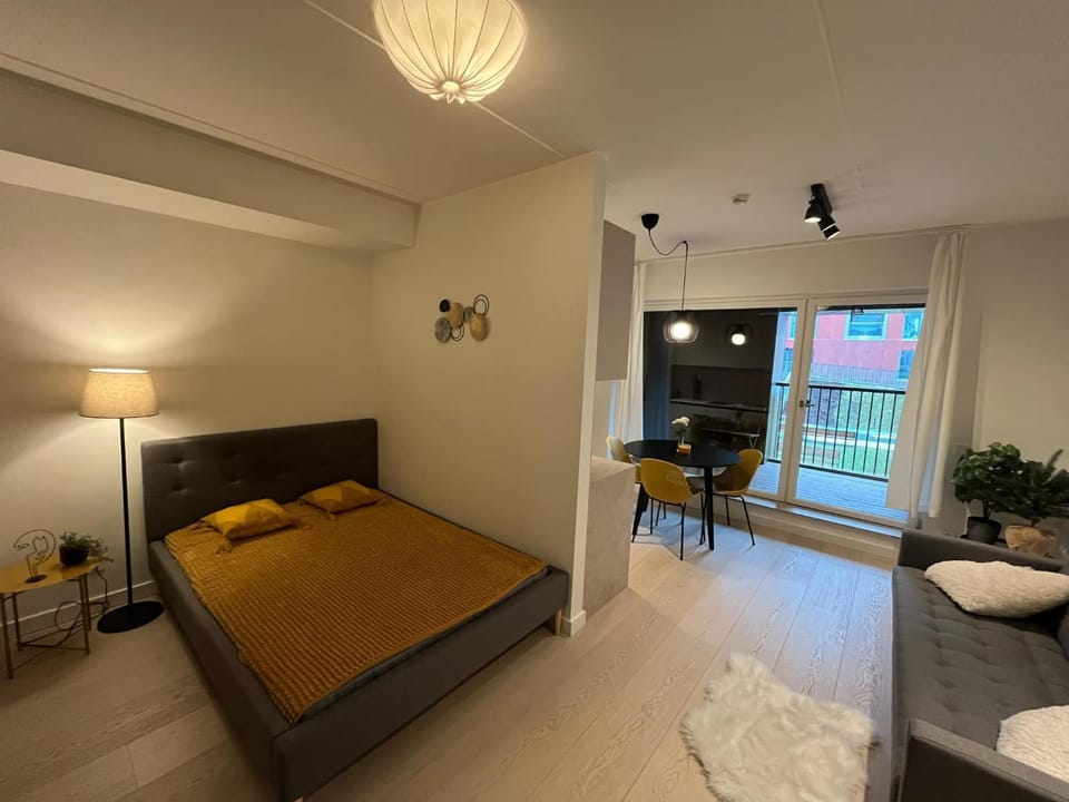 Bed, Living room, Photo of the whole room, Seating area, Bedroom