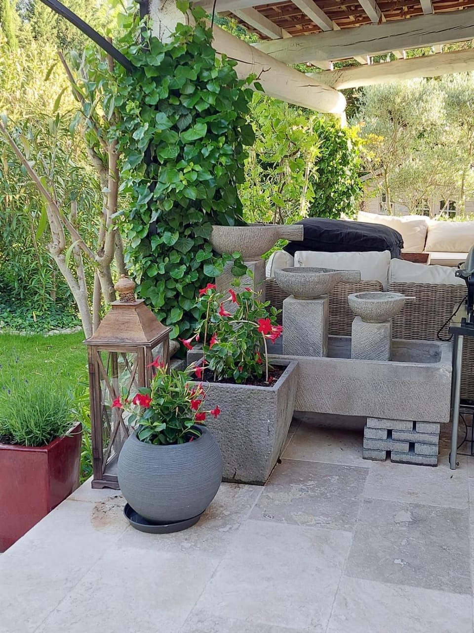 Patio, Garden, Living room, Seating area, Garden view