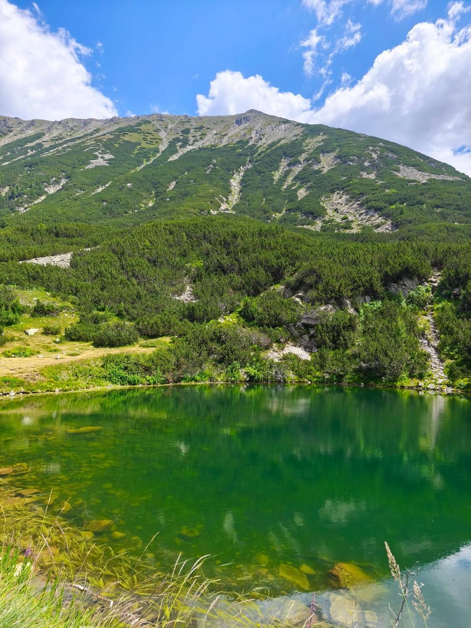Studio DeLuxe King with mountain view and spa rilski Apartment in Bansko