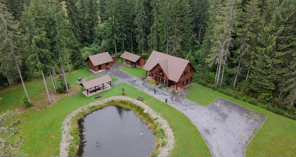 Bird's eye view, Garden, Lake view