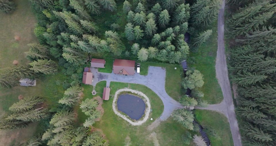 Bird's eye view, Garden, Lake view