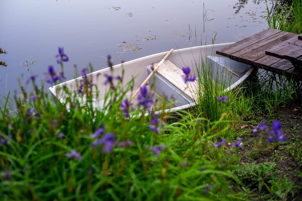 Natural landscape, Garden, Garden view