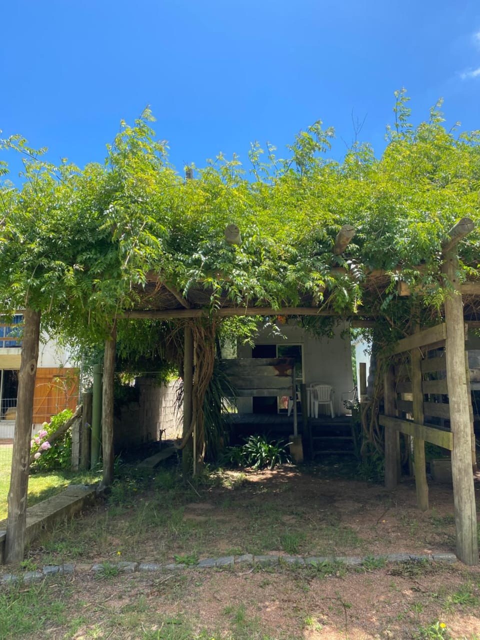 Garden view