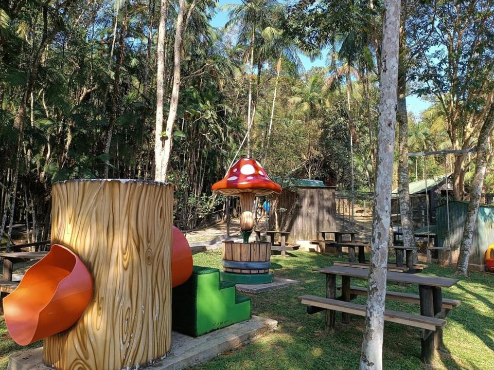 Cabana Montana Viva Cada Momento Chalet in State of Santa Catarina