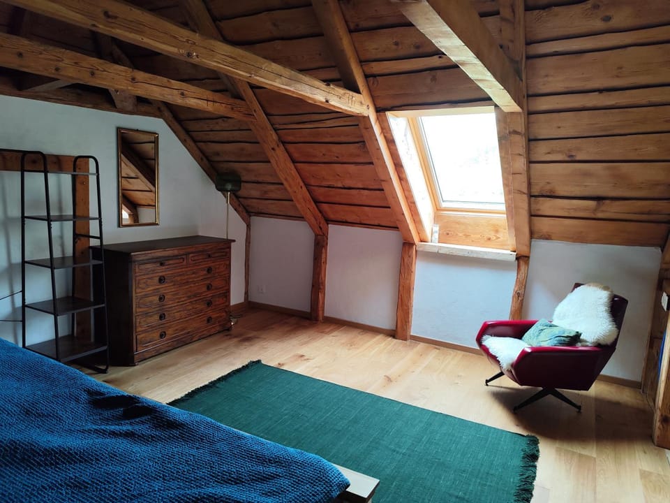 Country Haven Apartment in Canton of Bern (Region)