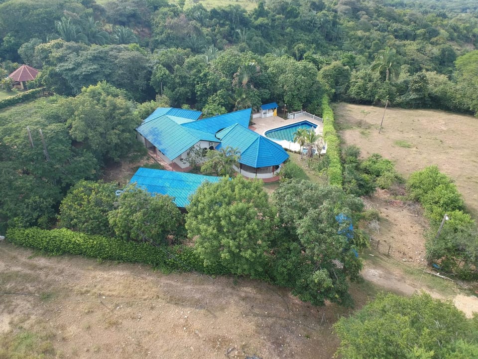 Natural landscape, Bird's eye view, Swimming pool