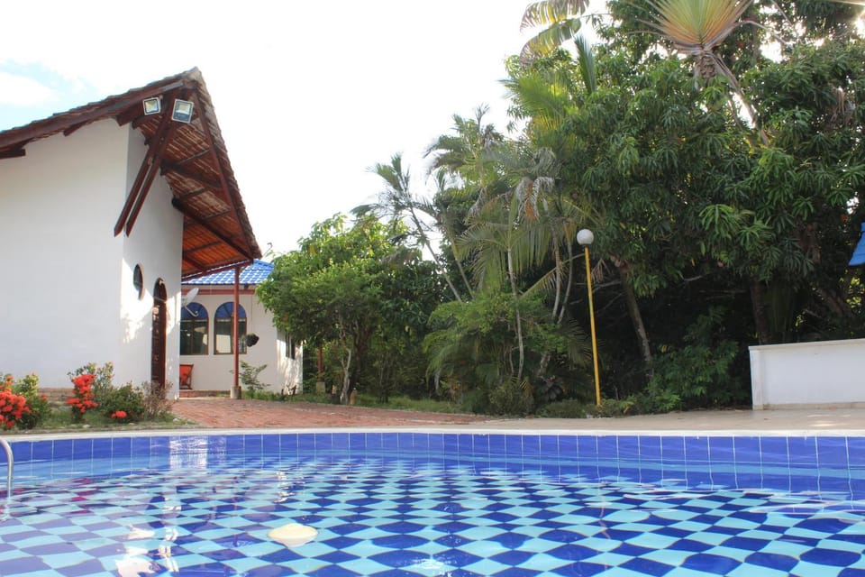 Garden, Pool view, Swimming pool