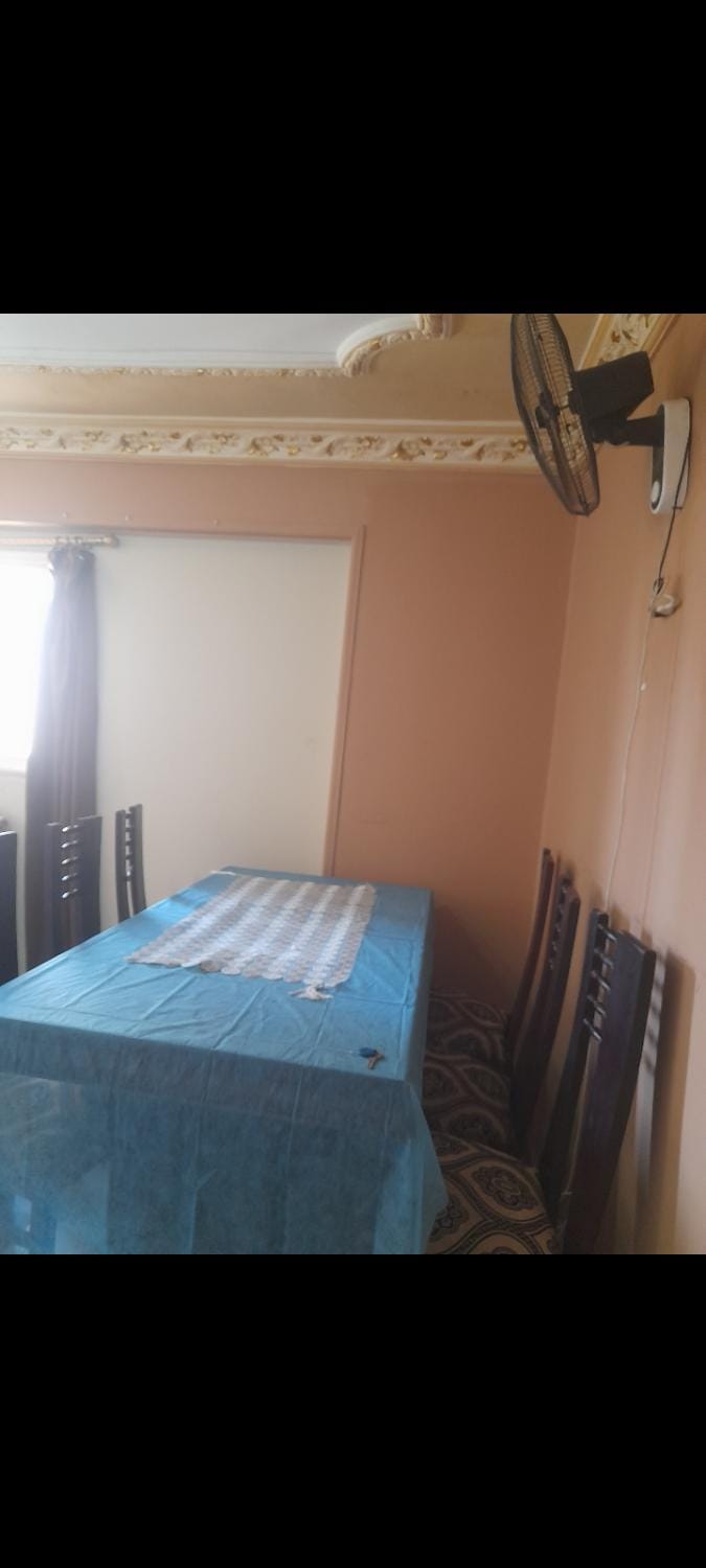 شقه ميامي Apartment in Alexandria