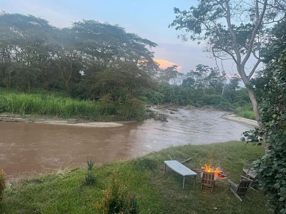 The River lodge Nature lodge in Uganda