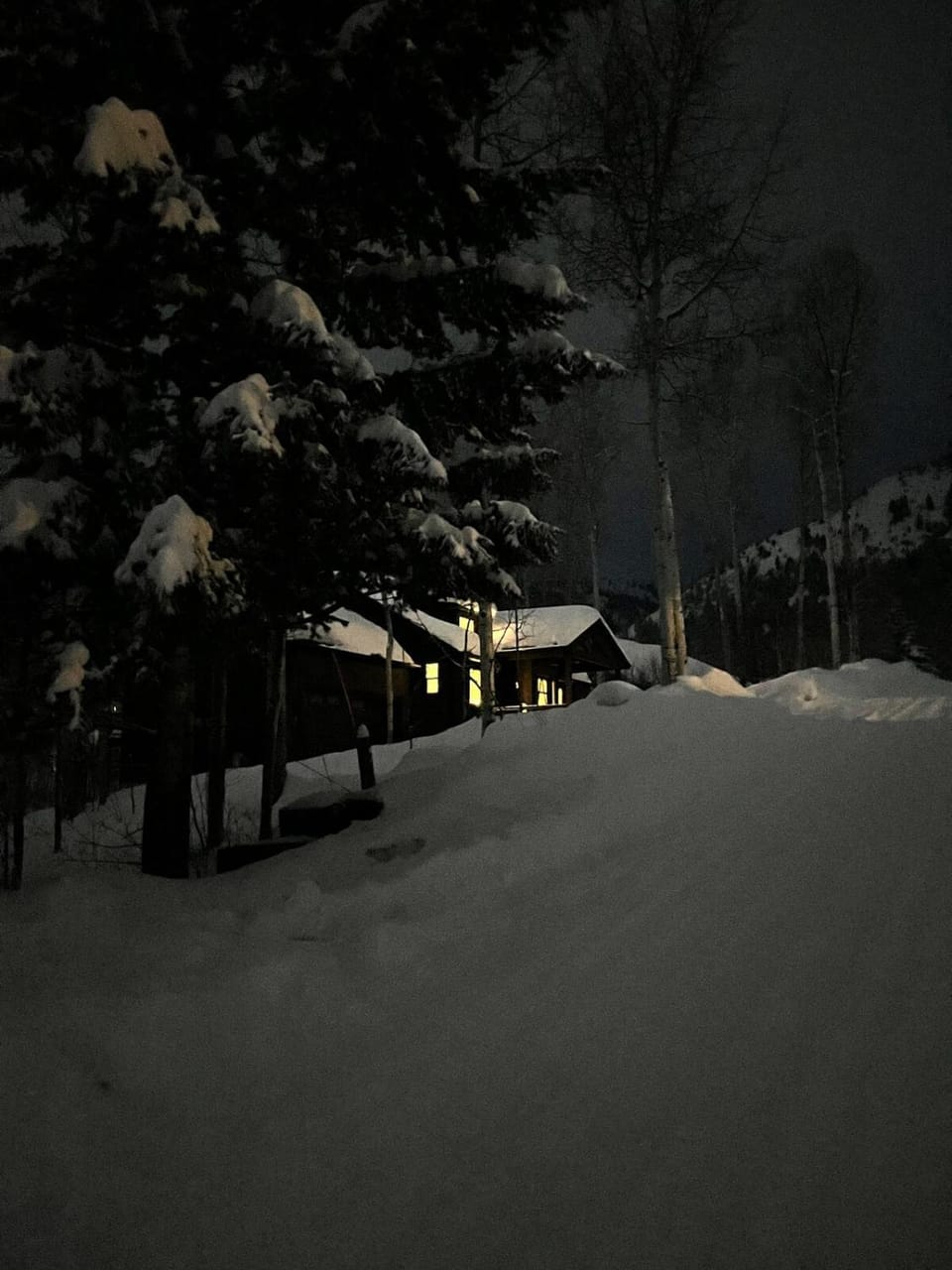 TandAA Cabin- cozy up in the Aspens on the Fairway Cabin in Star Valley Ranch
