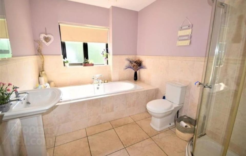 Larch Chalet House in County Donegal