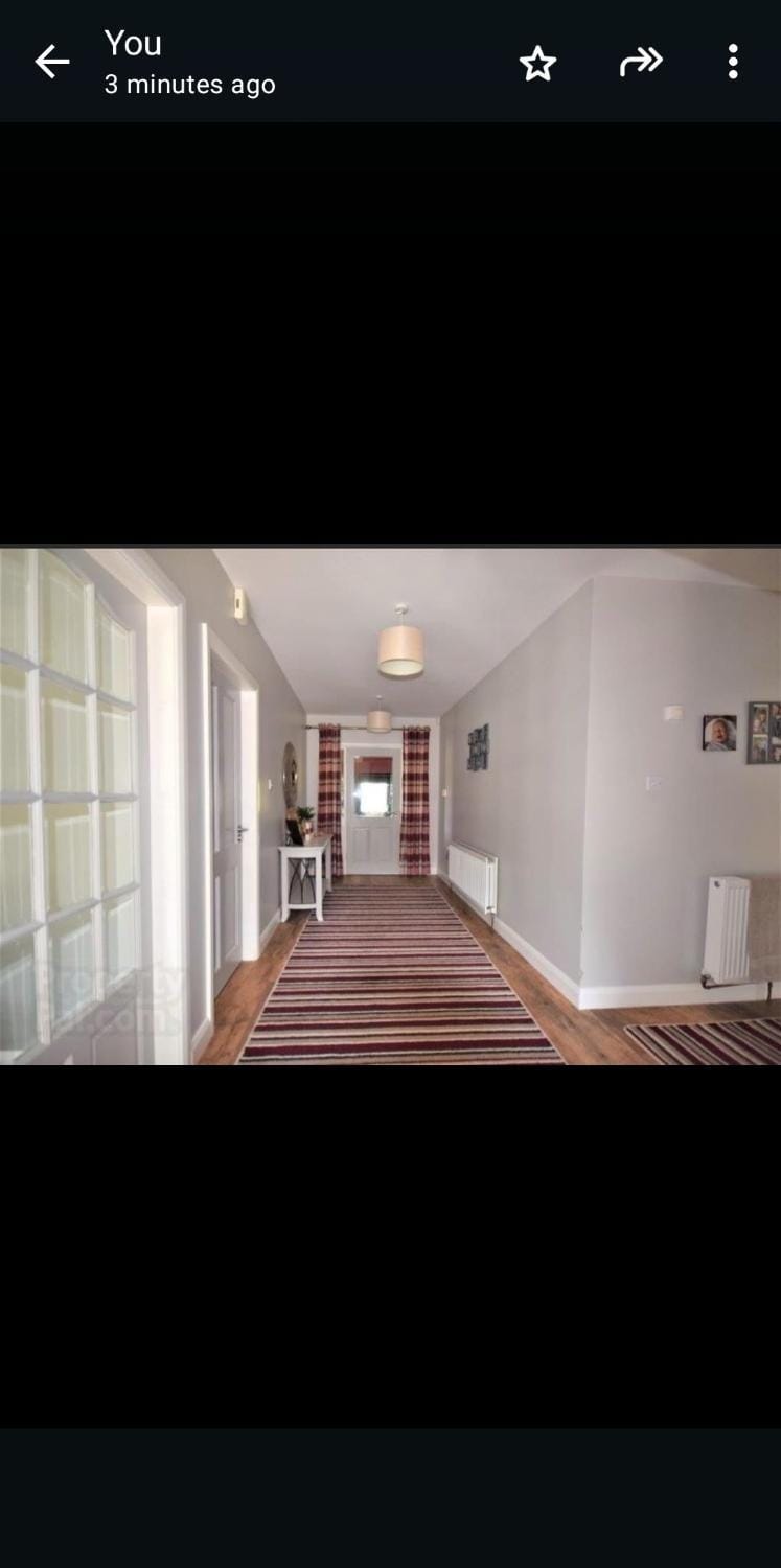 Larch Chalet House in County Donegal