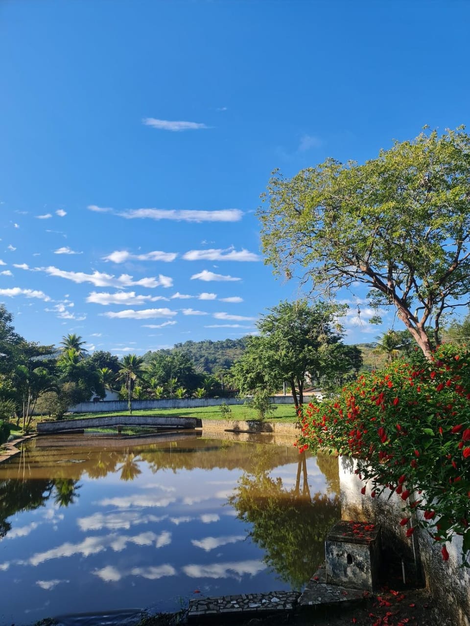 Natural landscape, River view