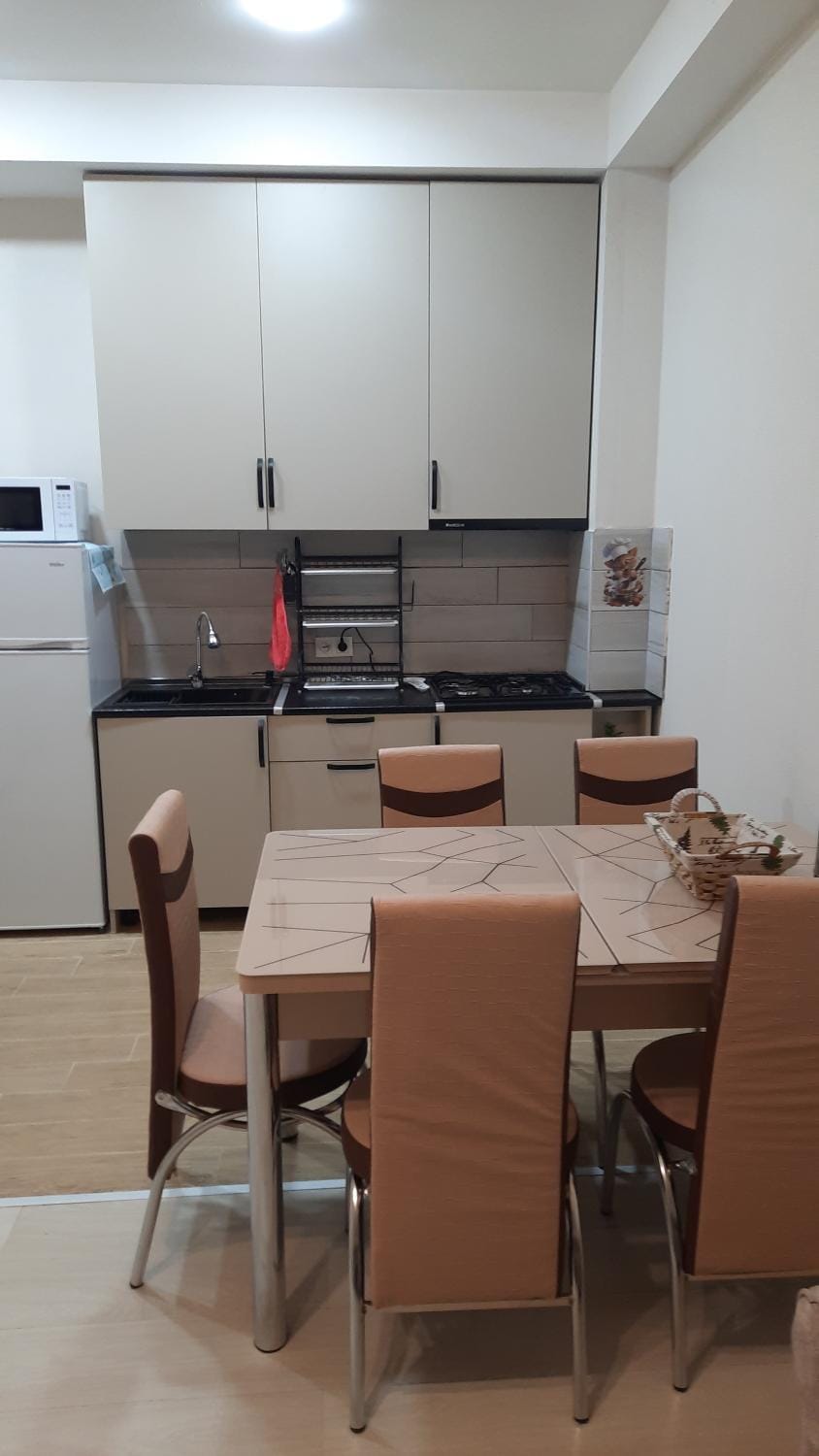 Didveli rezidens Apartment in Georgia
