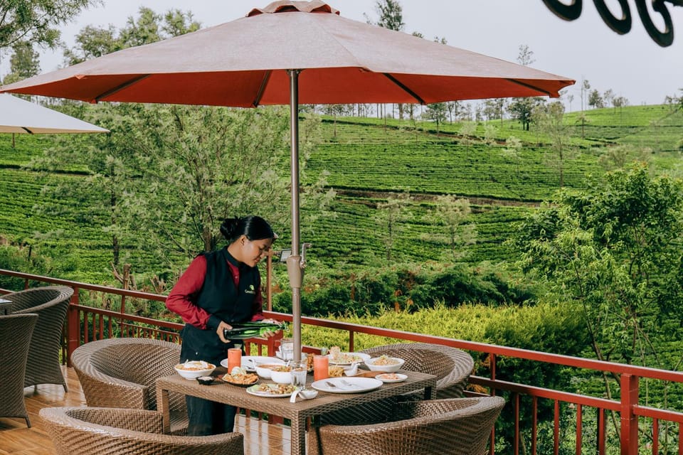 Restaurant/places to eat, Spring, Day, Natural landscape, Garden, Food and drinks, Food, Garden view, Drinks