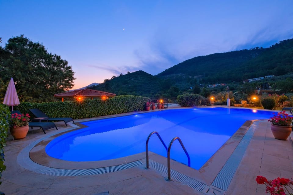 Night, Swimming pool