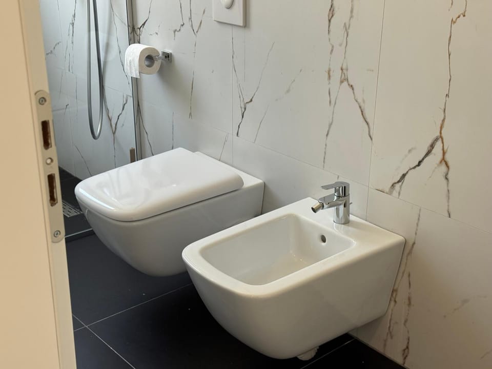 Toilet, Bathroom, bidet