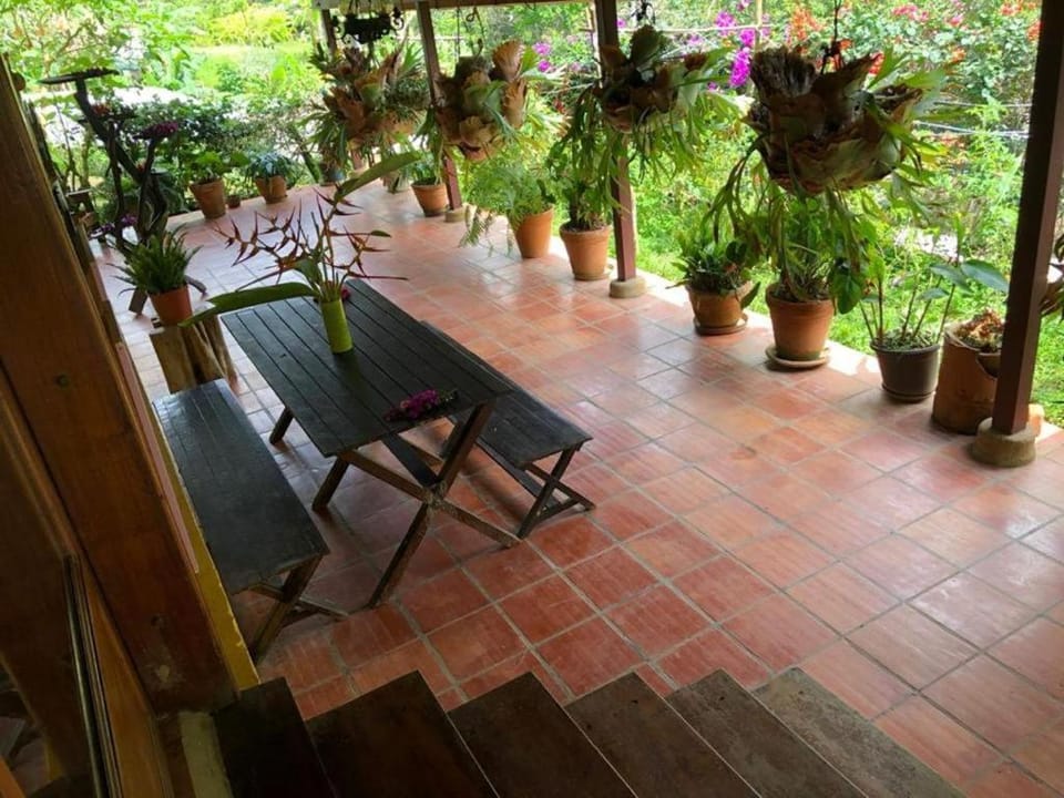 Patio, Garden