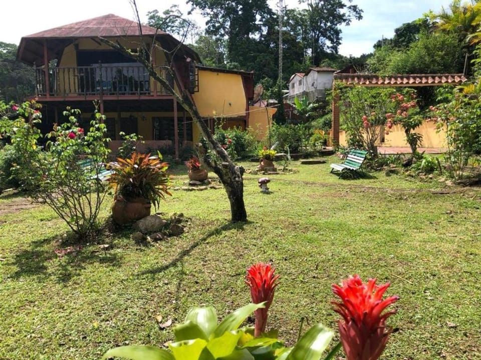 Natural landscape, Garden