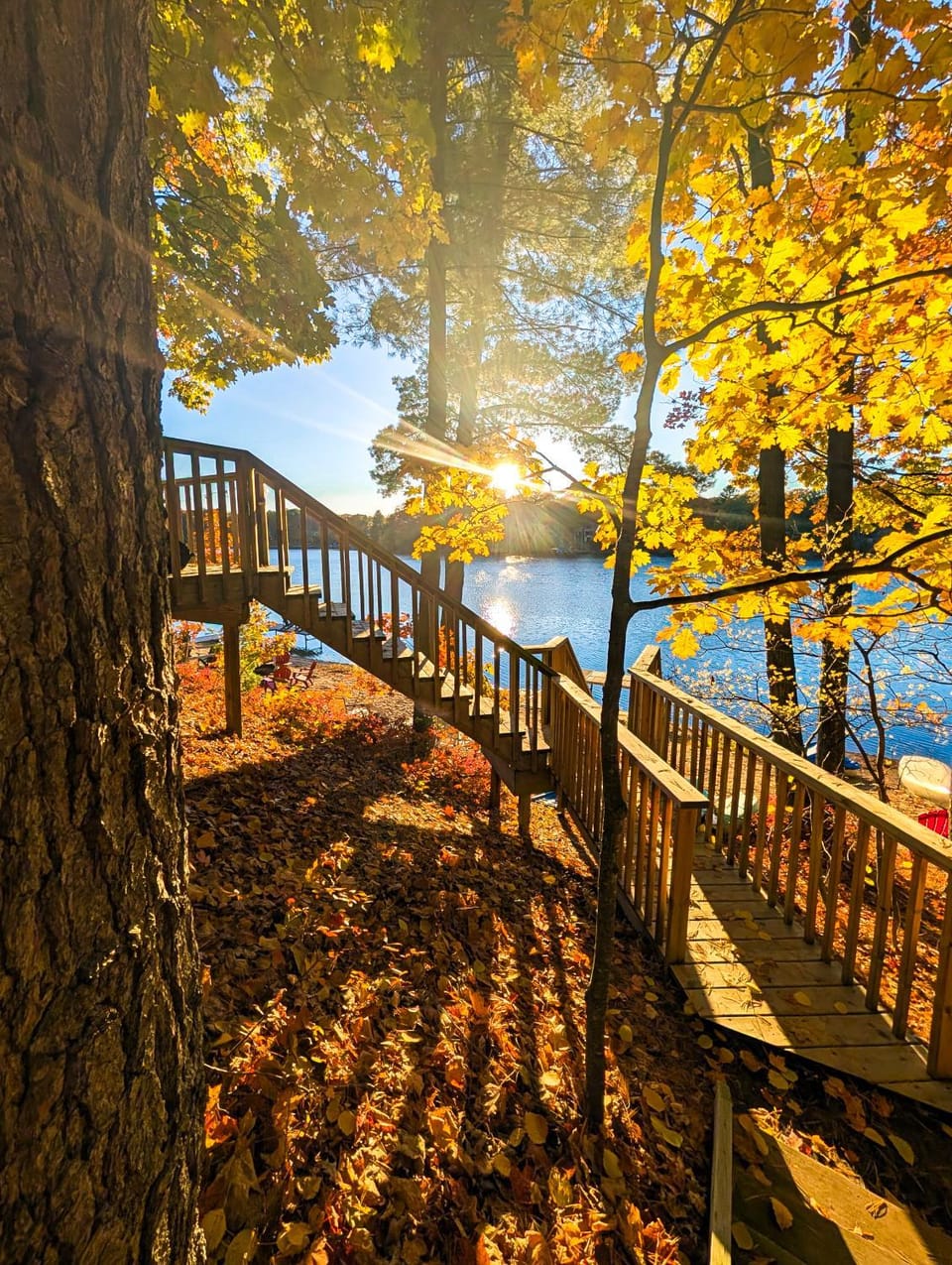 Lake view
